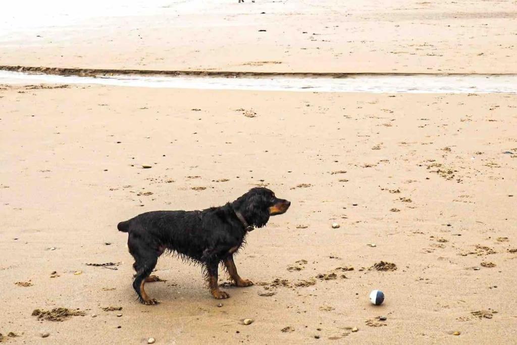 Large Cottage, Beach, Pubs Shops, Netflix, Bbq, Dog Friendly 亨曼比 外观 照片
