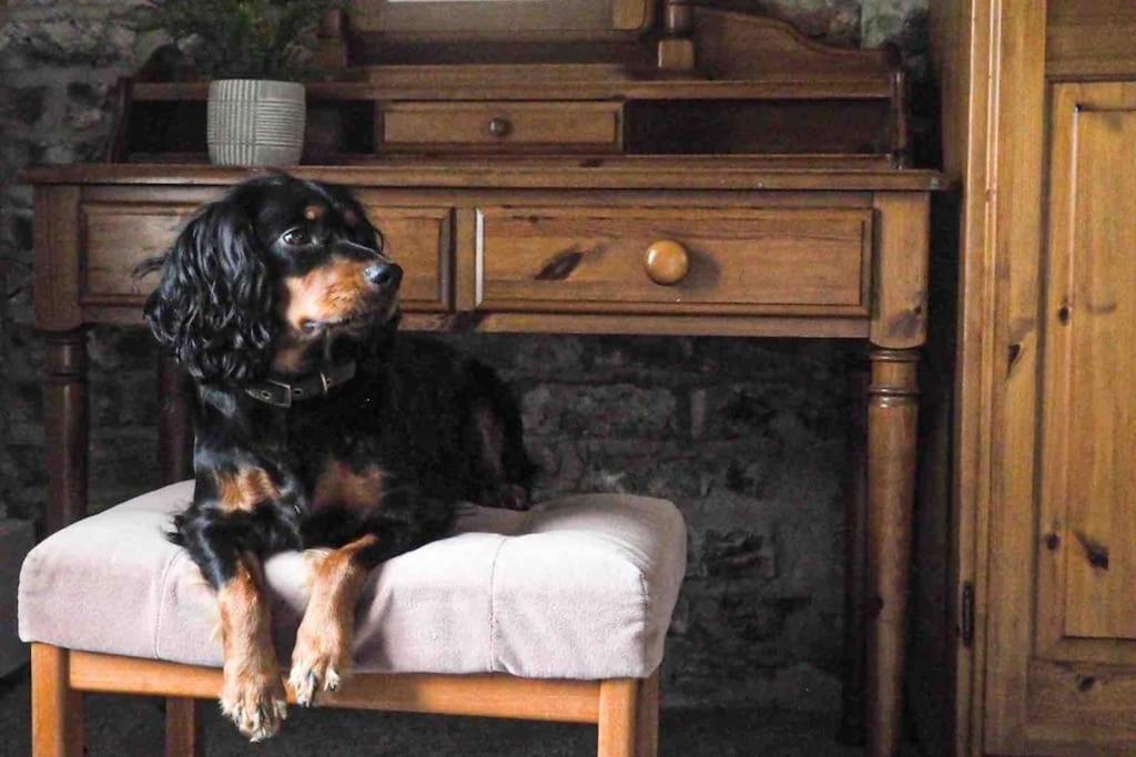 Large Cottage, Beach, Pubs Shops, Netflix, Bbq, Dog Friendly 亨曼比 外观 照片